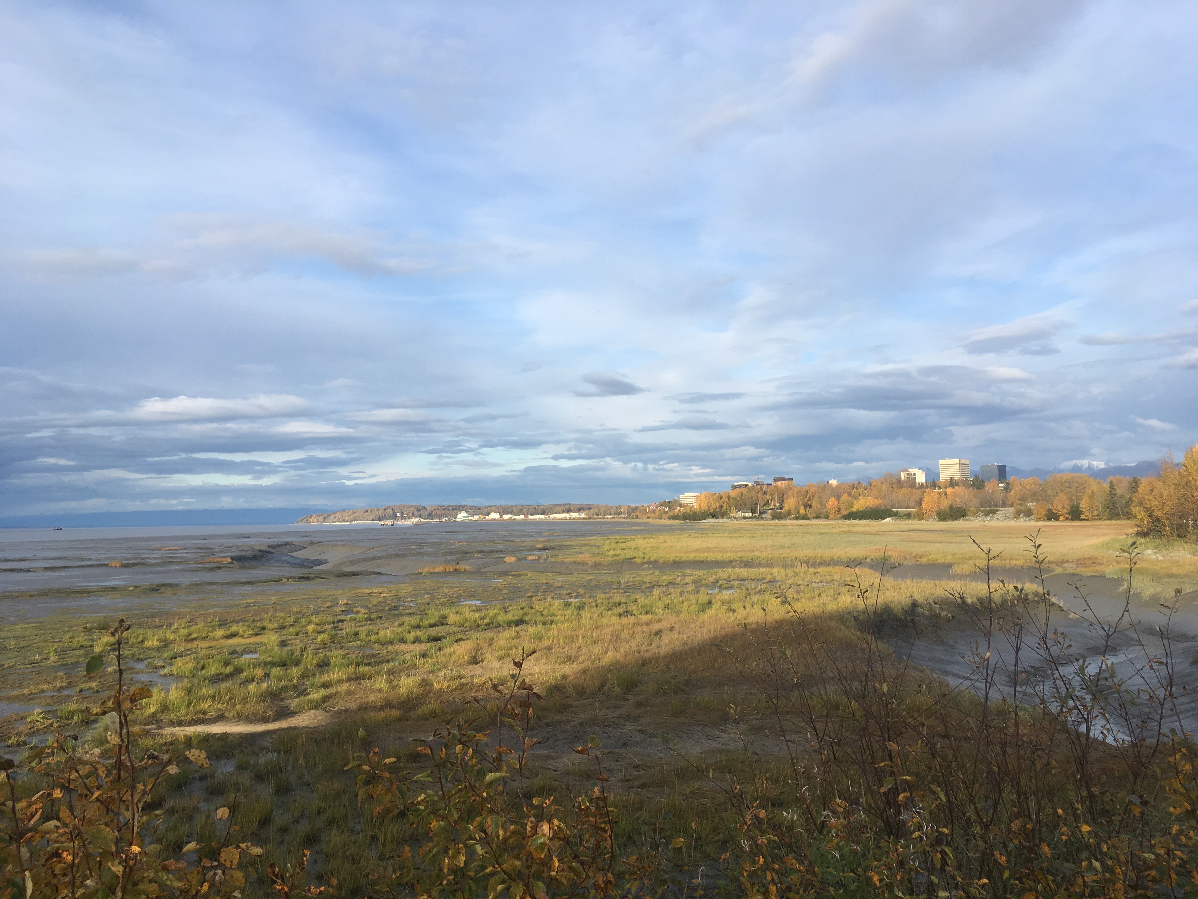 The lighting was gorgeous almost the entire way back! Mud flats in the afternoon