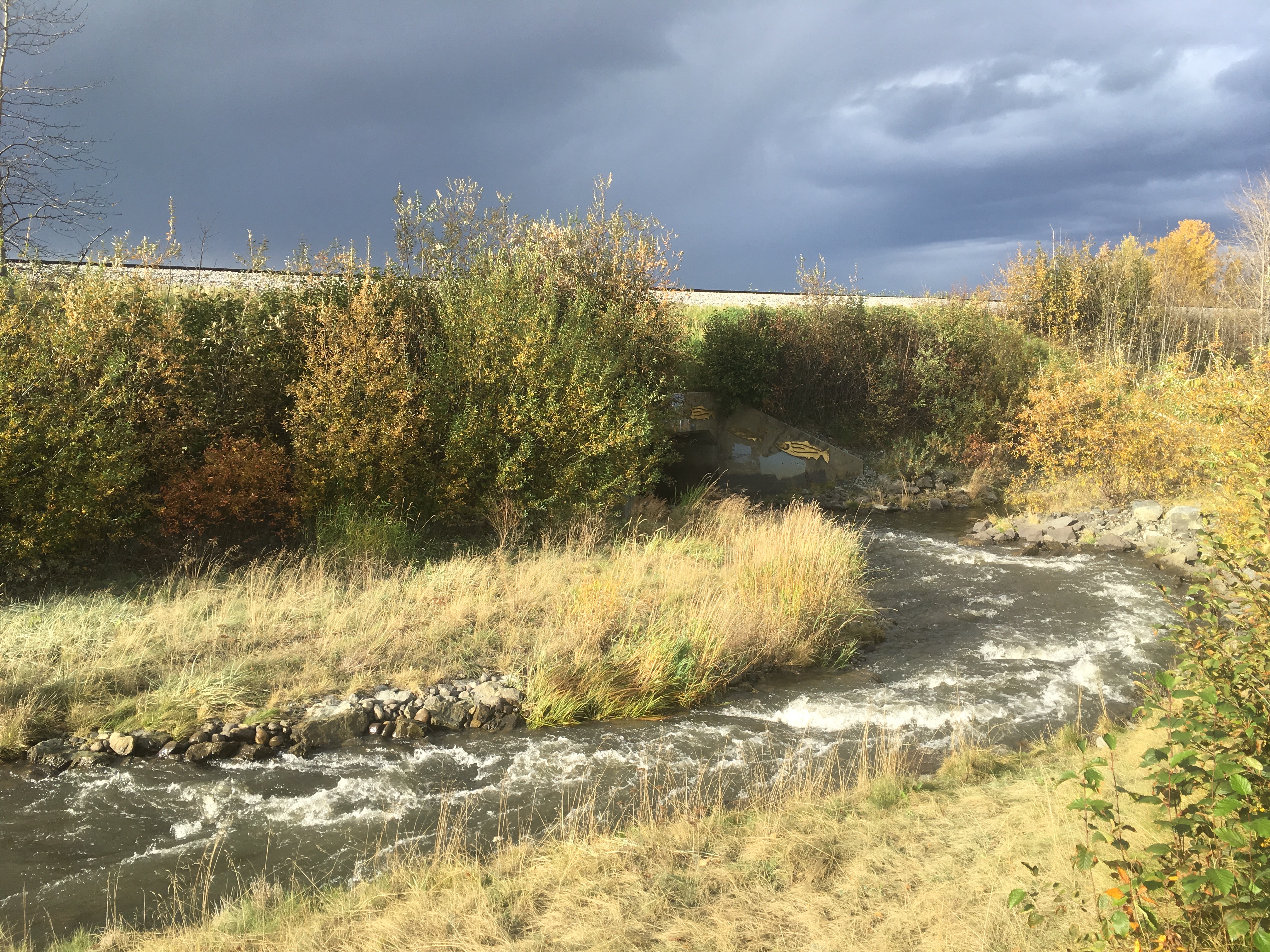 The Salmon Portal, one of Aperture Science's latest inventions! The Salmon Portal