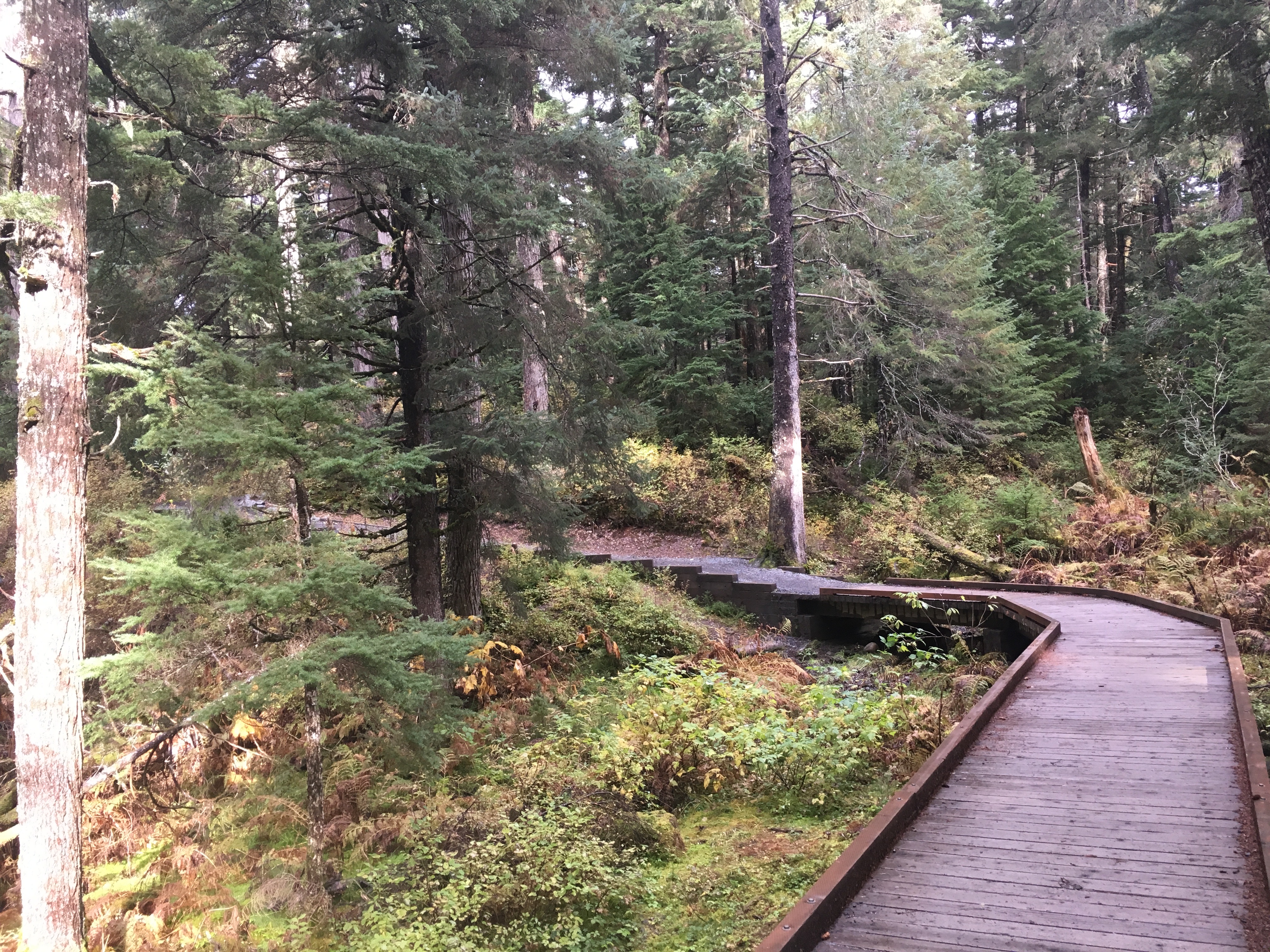 A section of the Winner Creek Trail that included a boardwalk. Winner Creek Boardwalk