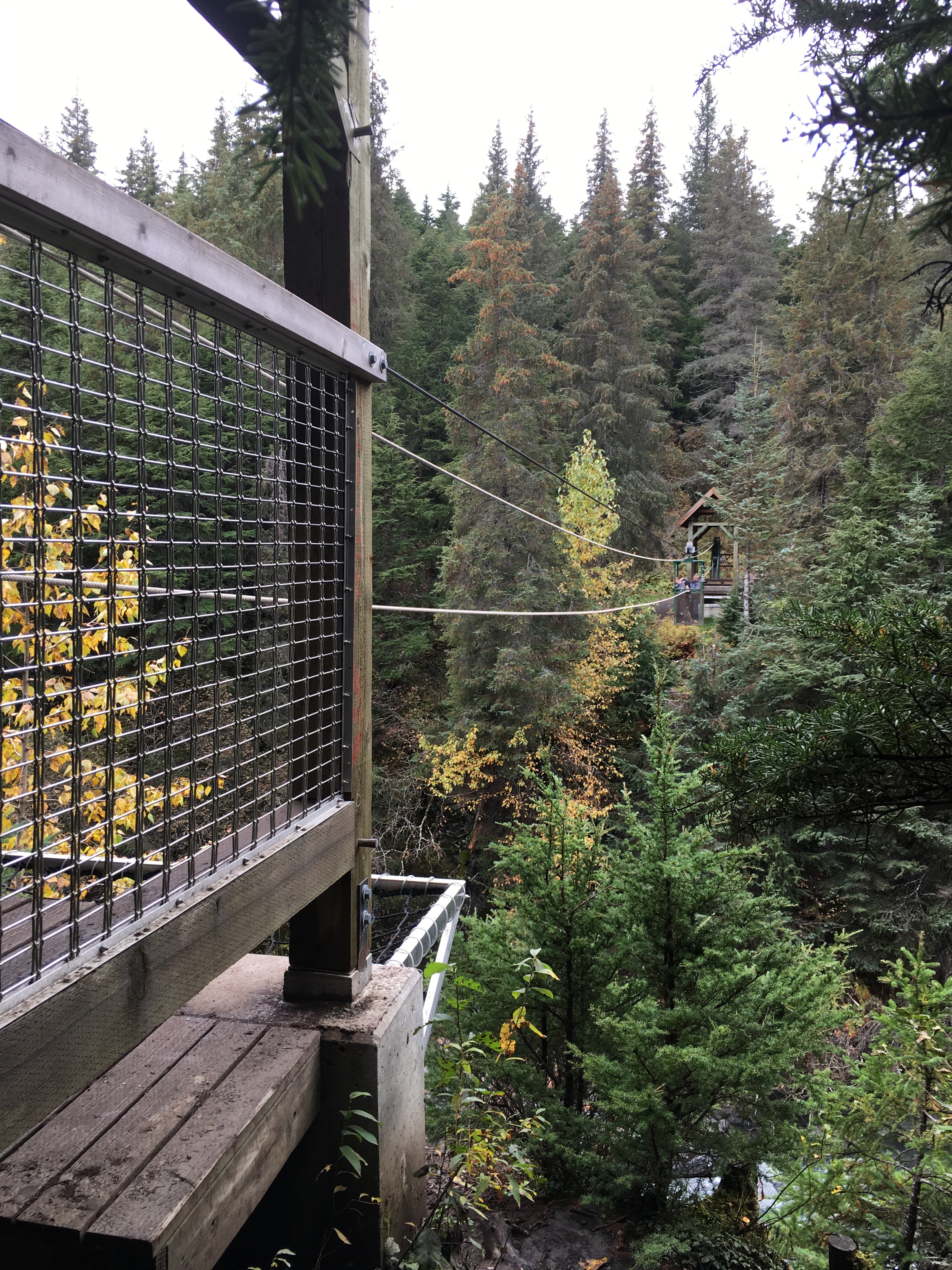 Not a good time for basophobia and vertigo... Winner Creek Trail hand tram